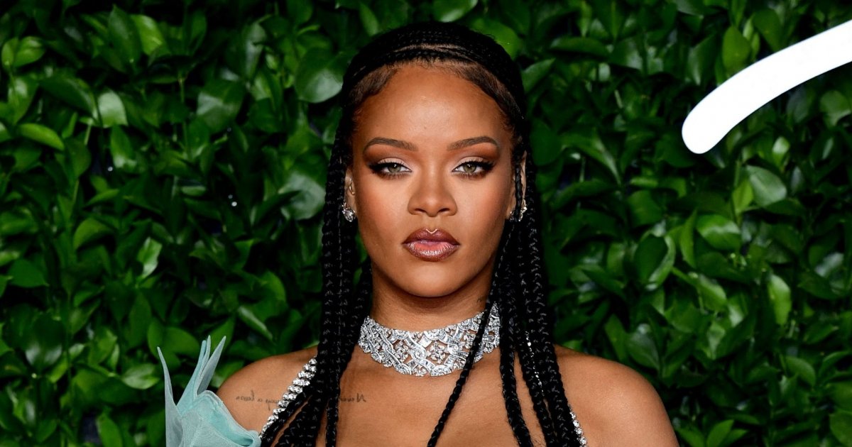 Judge Bars References to Rihanna Assault in Chris Brown Dog Bite Case